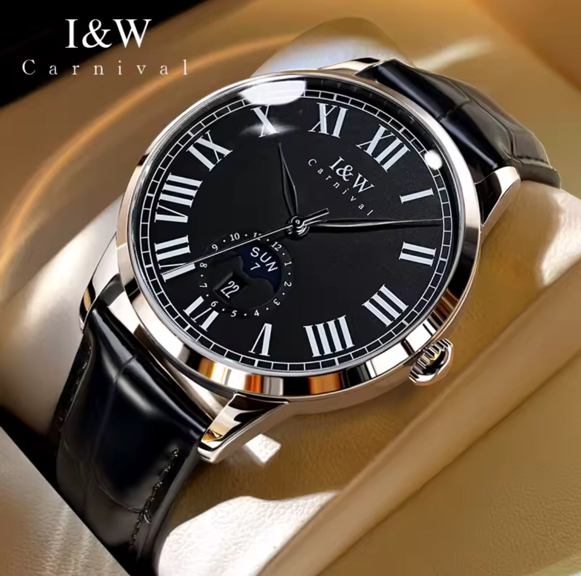 Carnival L&W Schwarz/Silber Leder. Seriennummer 883004